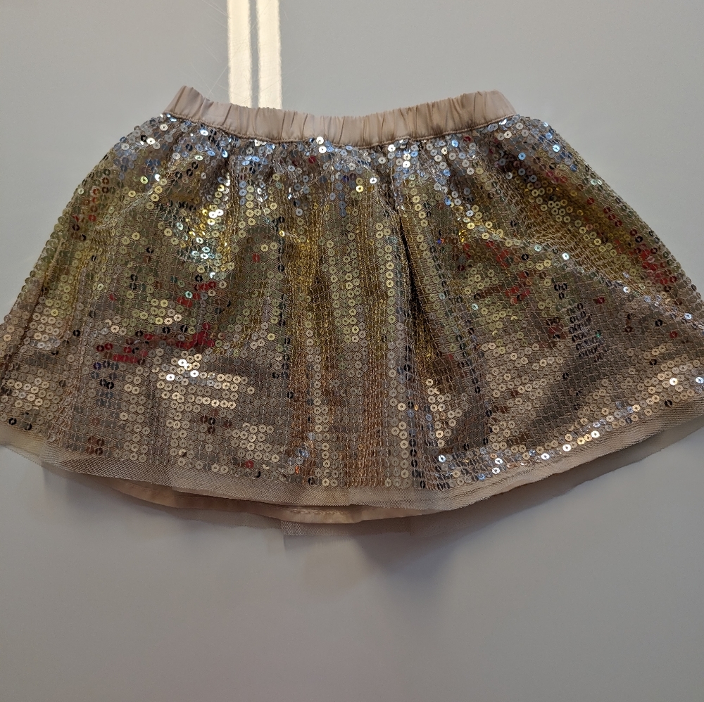 Sequin Skirt